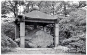 唐鸿胪井碑